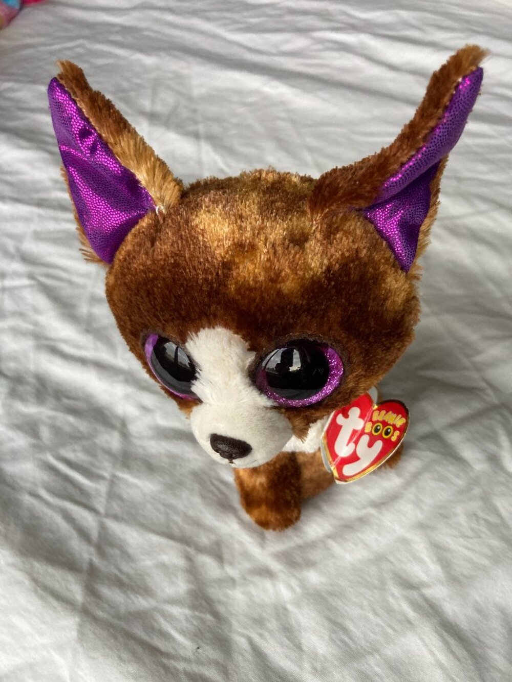 TY Beanie Boo "Dexter" with tag